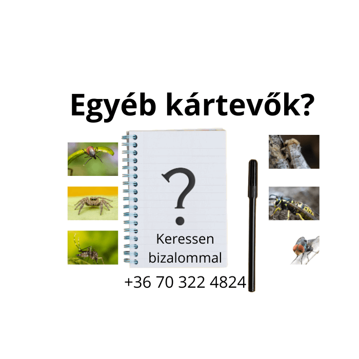 Milyen kártevő?
