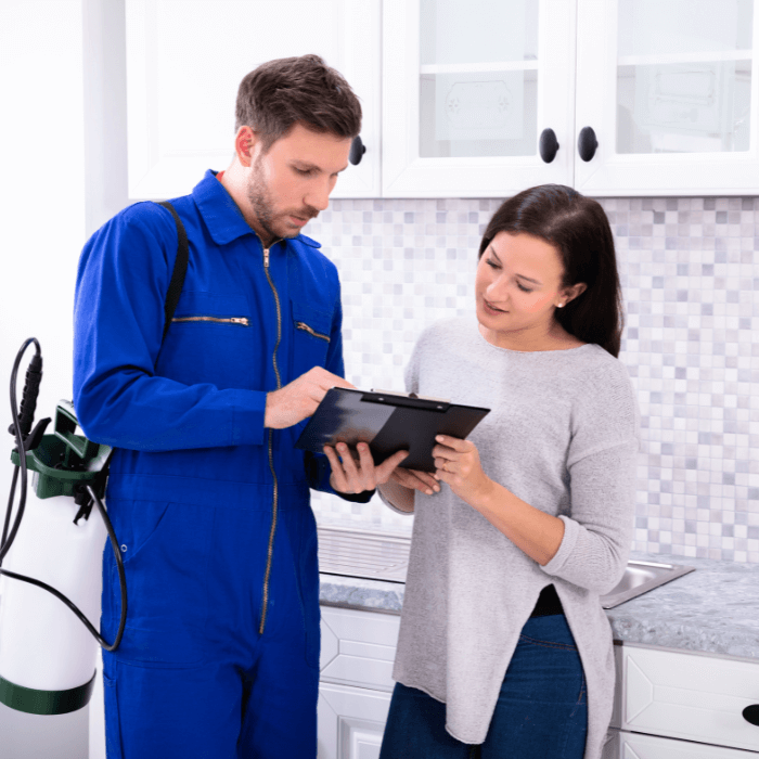 kártevőirtási árak